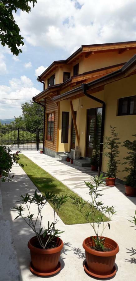 Guest House Ideal Saparewa Banja Zewnętrze zdjęcie